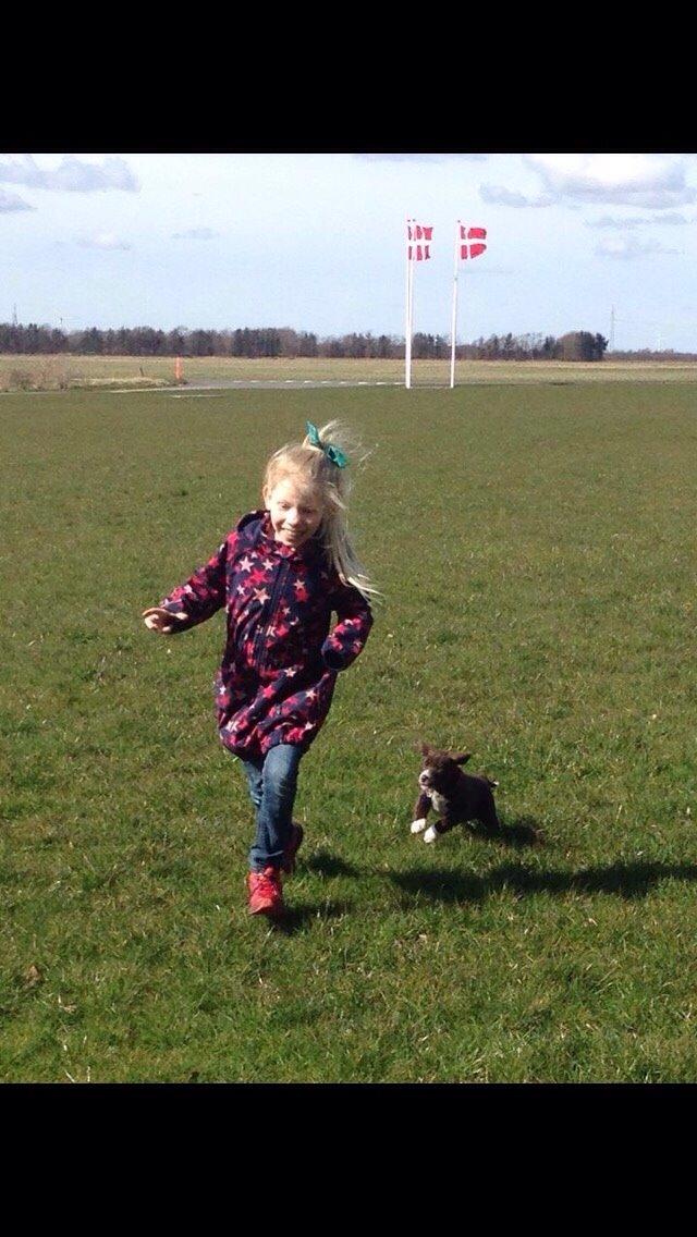 Blanding af racer Rico billede 2