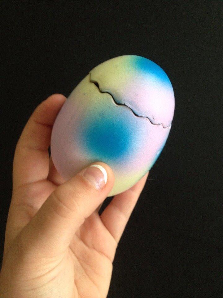 Coton de tulear Vigga billede 6