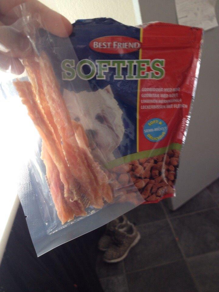 Coton de tulear Vigga billede 7