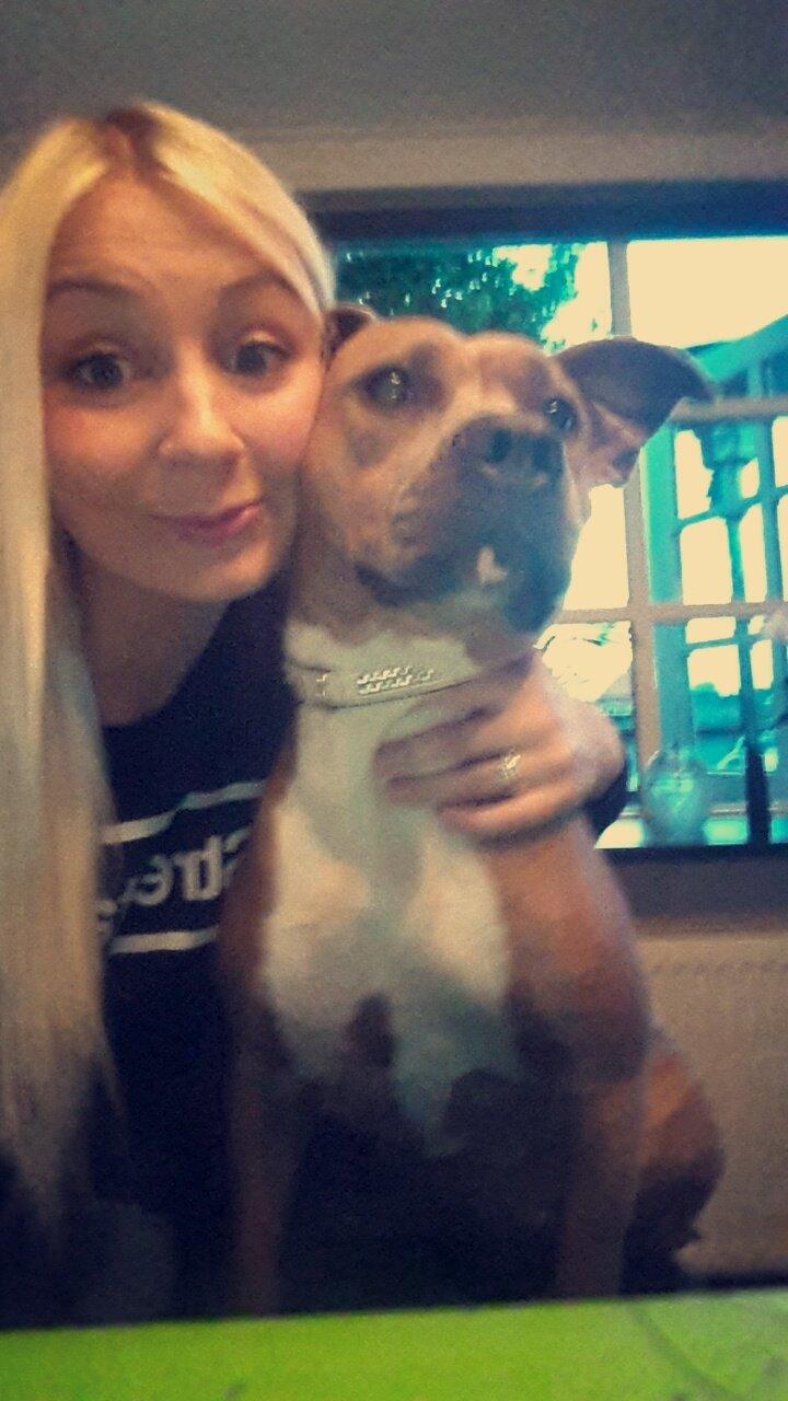 Blanding af racer Pixie billede 5