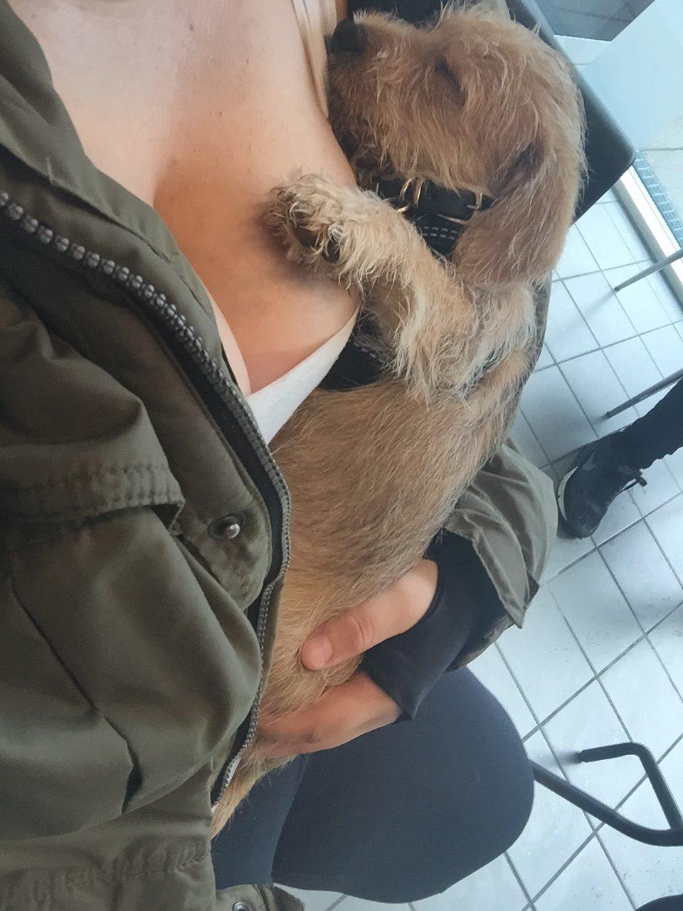 Blanding af racer Anton billede 18