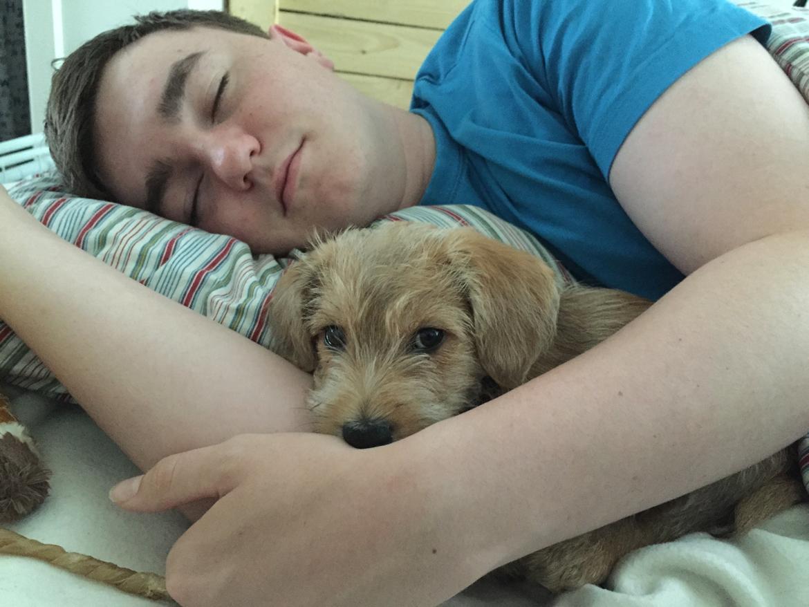 Blanding af racer Anton billede 15