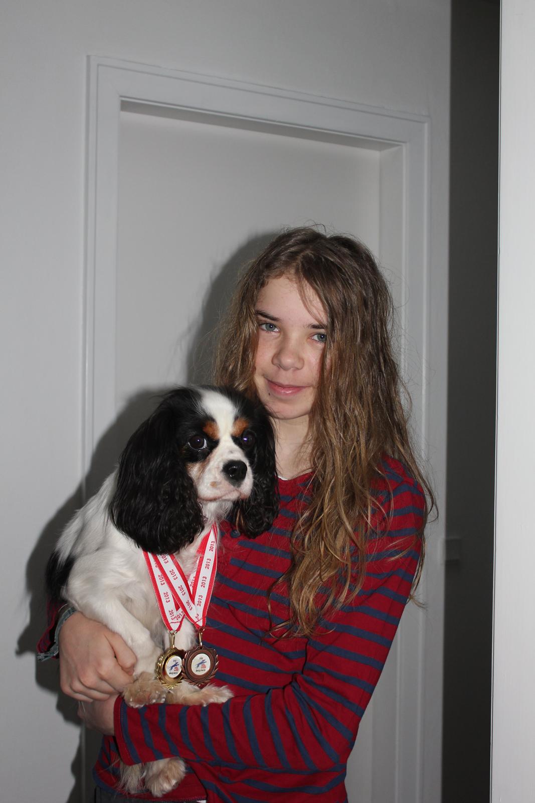 Cavalier king charles spaniel Martha billede 30