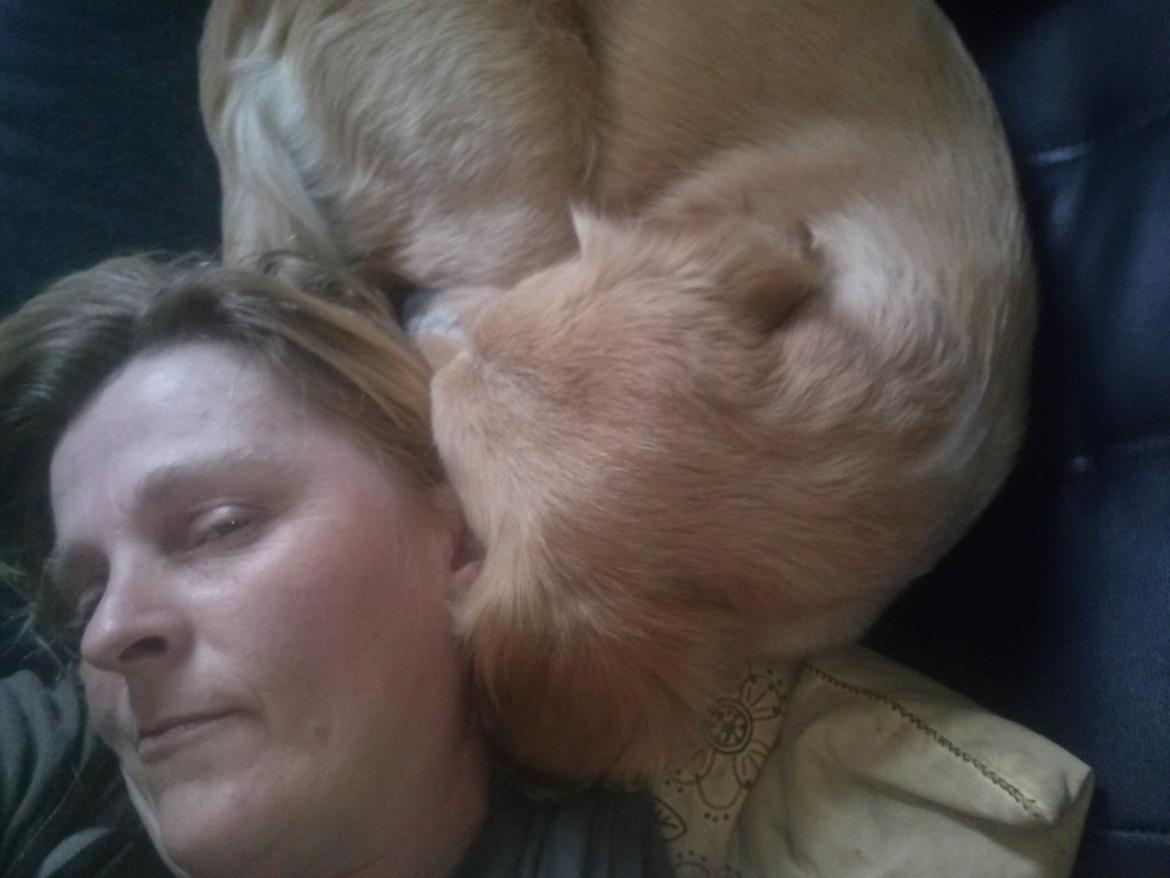 Blanding af racer Zita billede 8