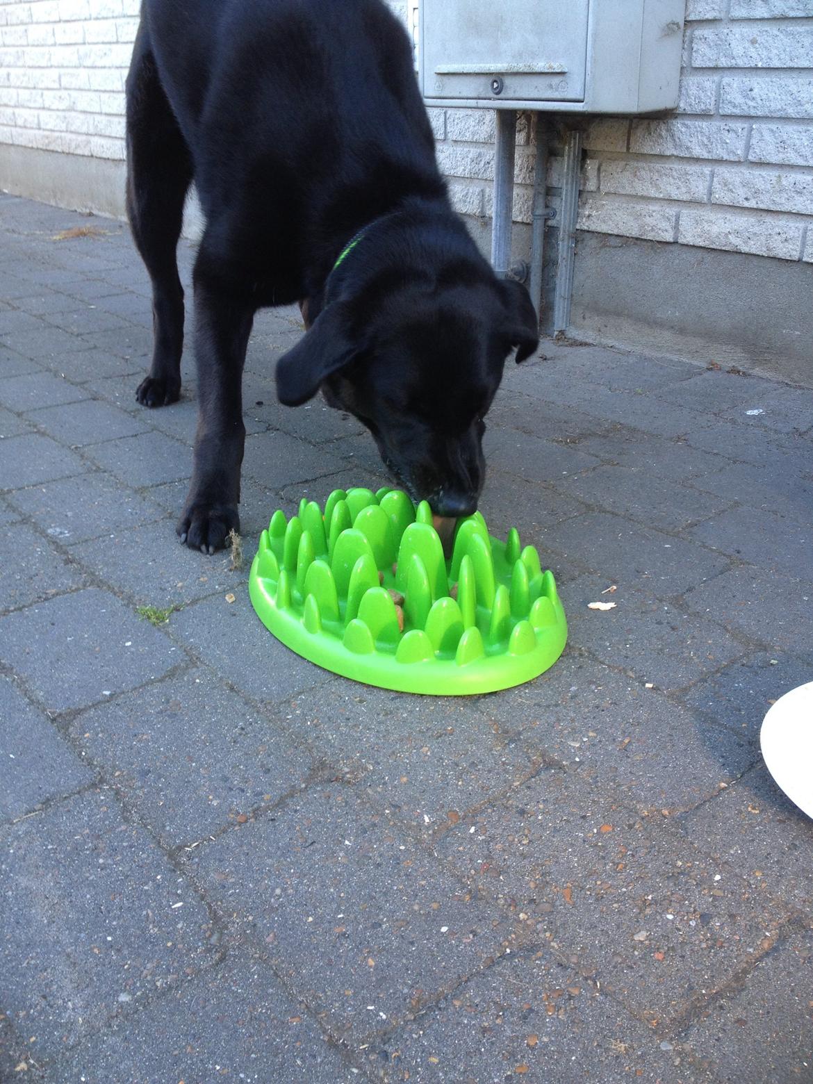 Blanding af racer Boss billede 26