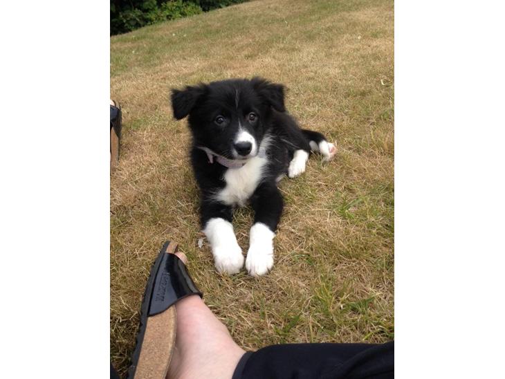 {{currentPhoto.altText}} billede {{currentPhoto.number}}