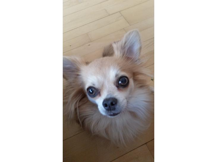 {{currentPhoto.altText}} billede {{currentPhoto.number}}