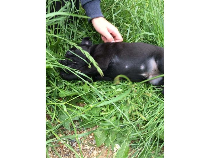 {{currentPhoto.altText}} billede {{currentPhoto.number}}