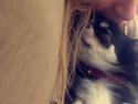 Chihuahua Lucy