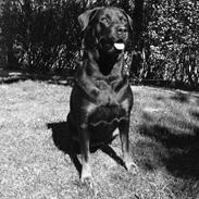 Blanding af racer Manu