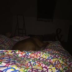 Blanding af racer King