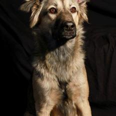 Blanding af racer Prize