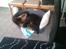 Rottweiler Von Hause Nomis Irina (Kikki)