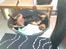 Rottweiler Von Hause Nomis Irina (Kikki)