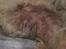 Biewer yorkshire terrier LULU