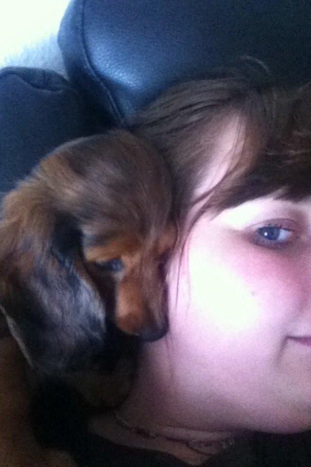 Gravhund Cosmo <3 billede 17