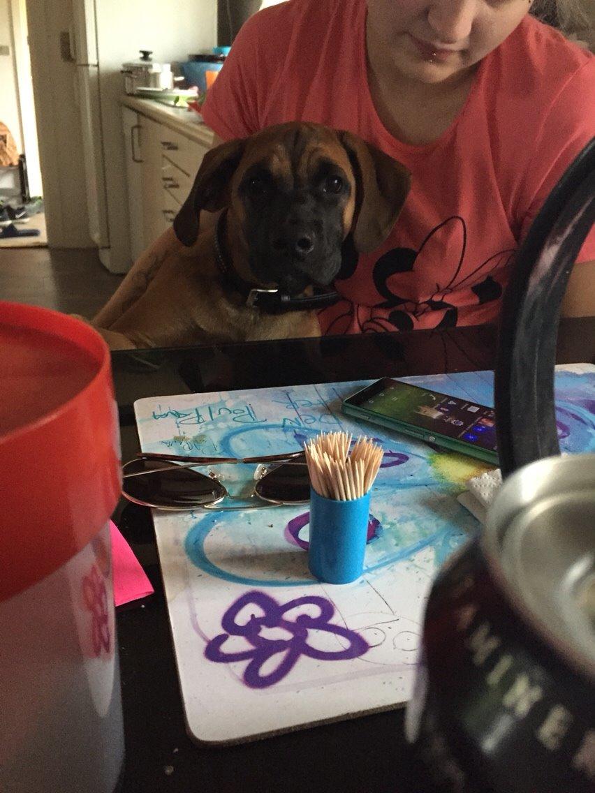 Blanding af racer King billede 7