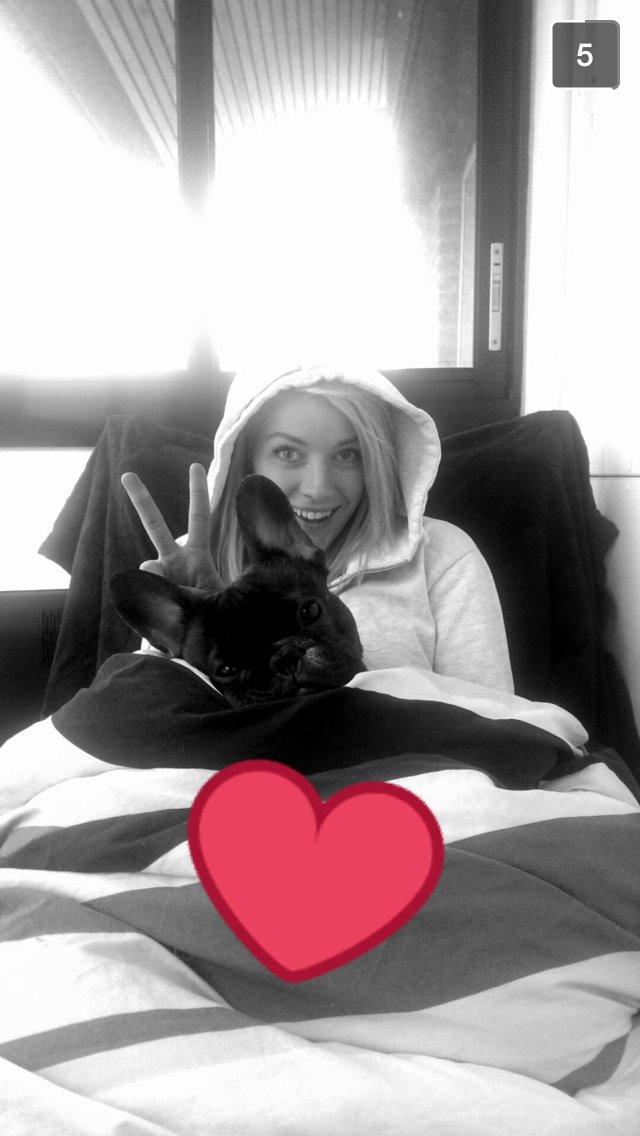 Fransk bulldog Milo - Her putter vi meget igen fordi vi har brækket ben nr. 2 billede 8