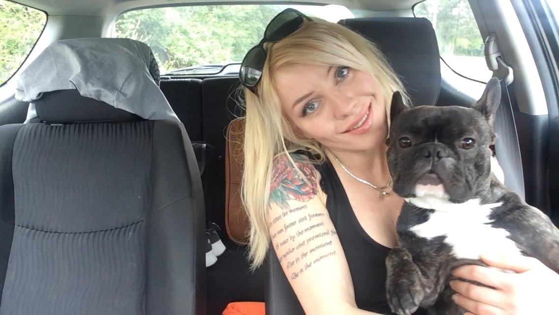 Fransk bulldog Milo billede 3