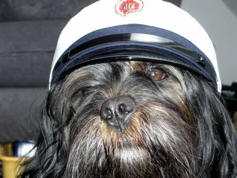 Blanding af racer Tarzan billede 2