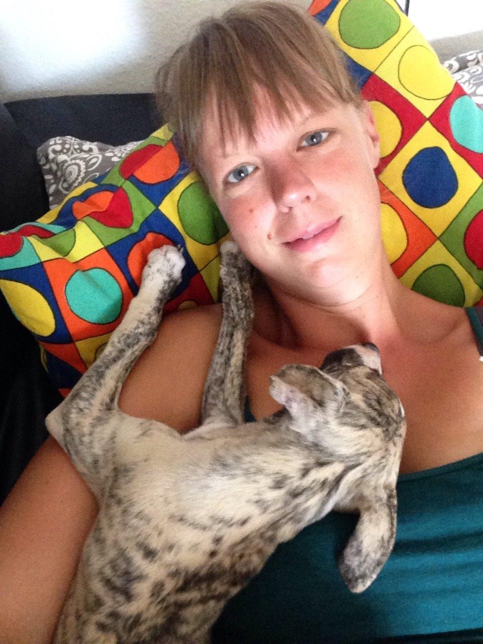 Whippet Peregrinus' Amazing Aston Martin - sofa hygge billede 5