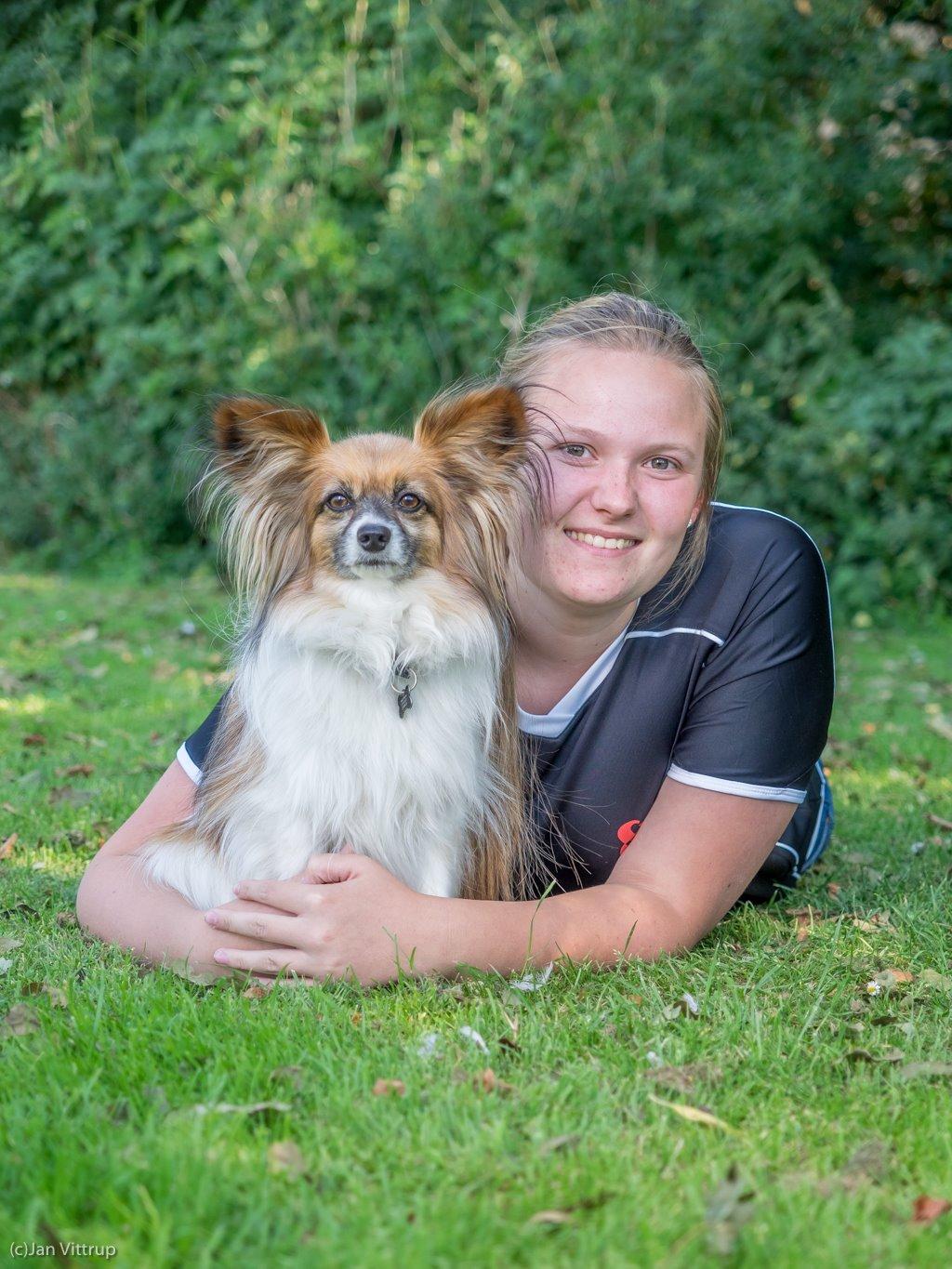 Papillon Charlie - Et billede af Charlie fra agility campen :)  billede 40
