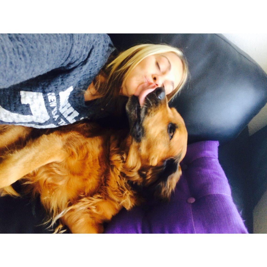 Blanding af racer Pumba billede 23