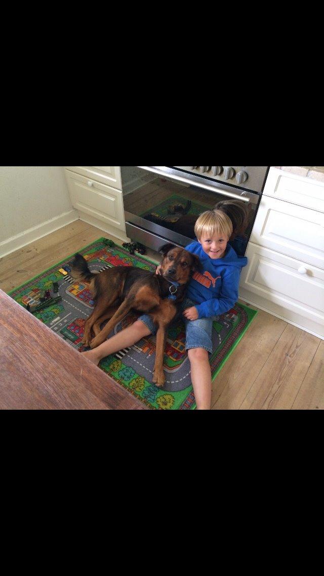 Blanding af racer Zako billede 14