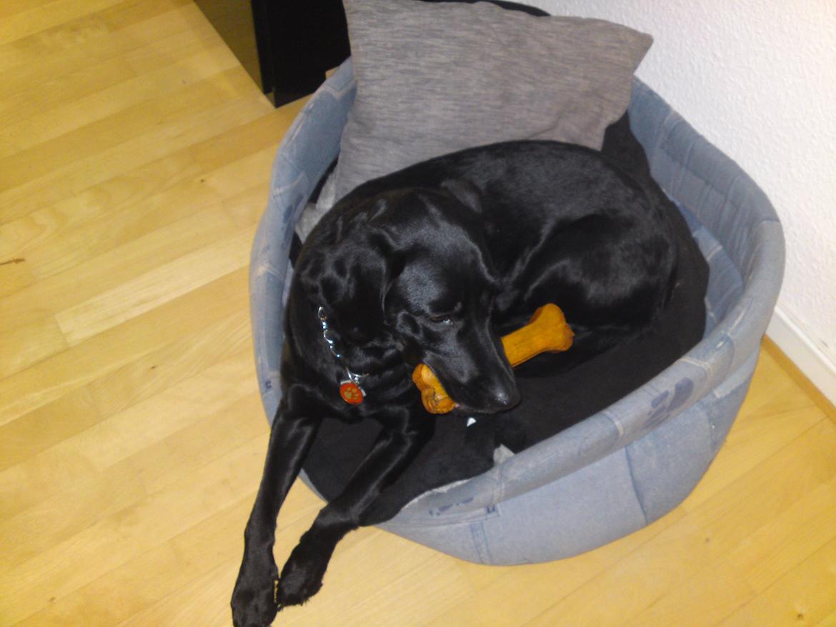 Blanding af racer Gaby - Åhhh. Jeg ved altså ikke rigtig hvad jeg skal gøre med sådan et her, moar!  billede 24