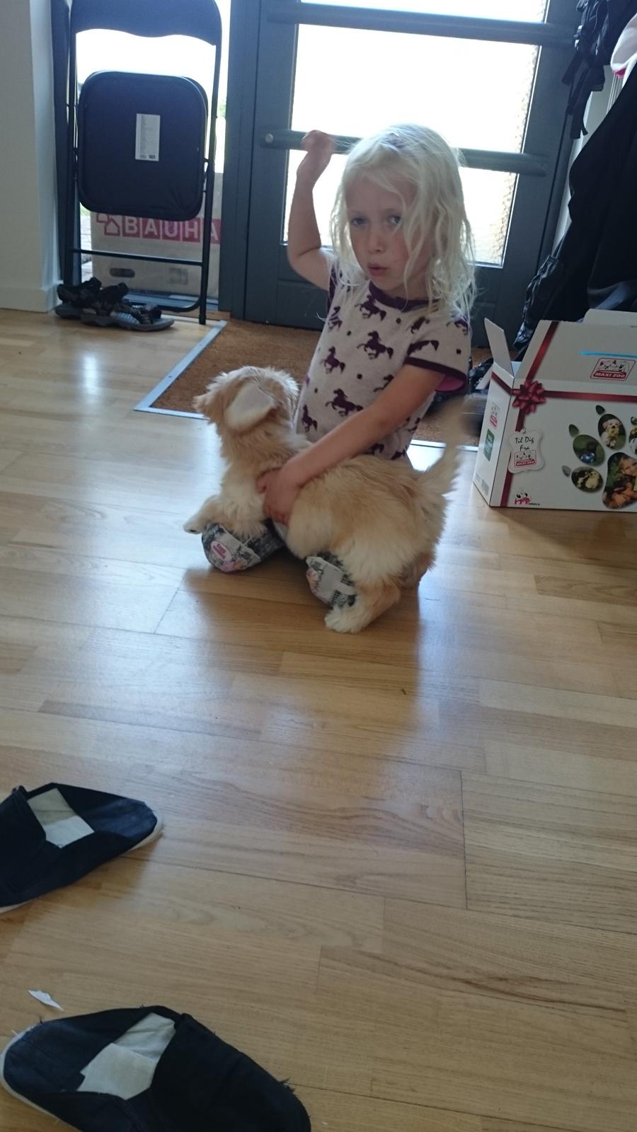 Blanding af racer Elsa billede 2