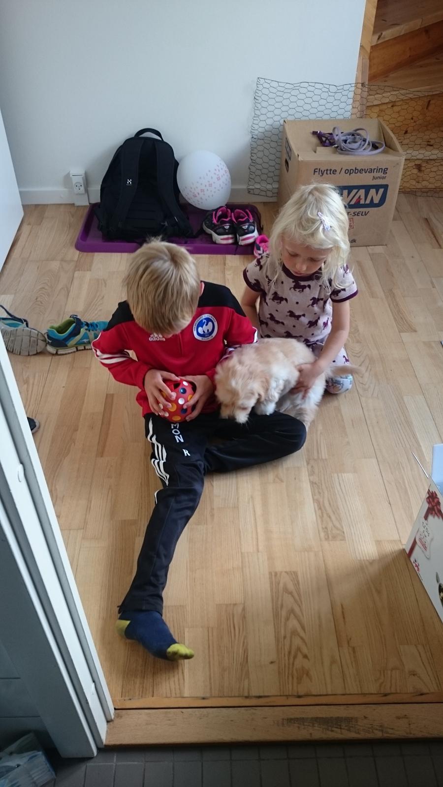 Blanding af racer Elsa billede 3