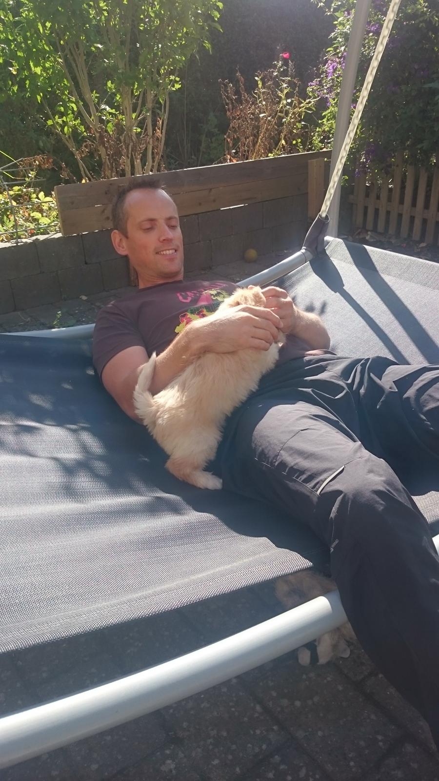 Blanding af racer Elsa billede 5