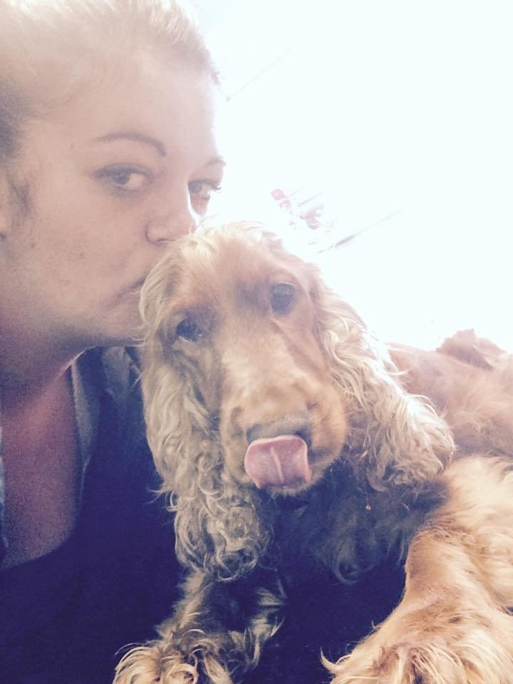 Cocker spaniel chanel (R.I.P. SMUKKE HUND billede 22