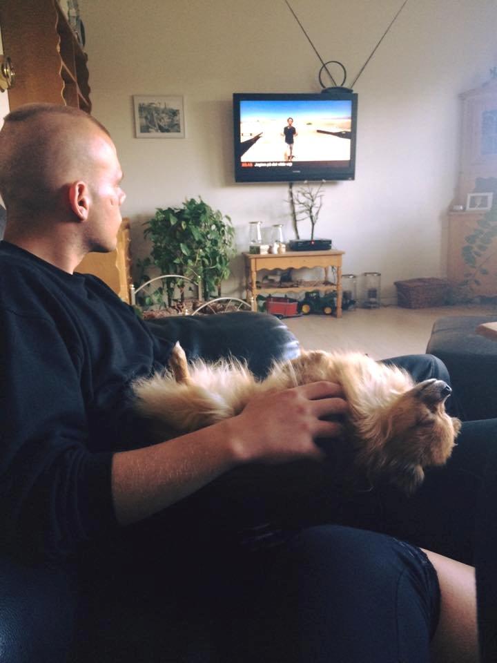 Blanding af racer Chanti billede 20