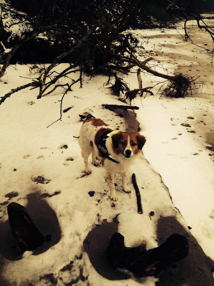 Breton bodil billede 15