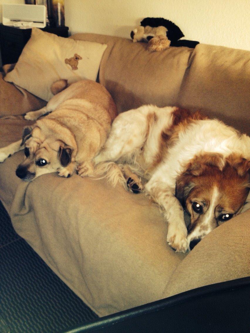 Breton bodil billede 16