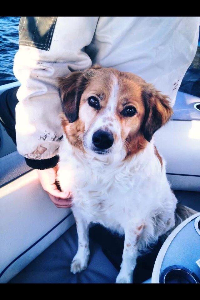 Breton bodil billede 17