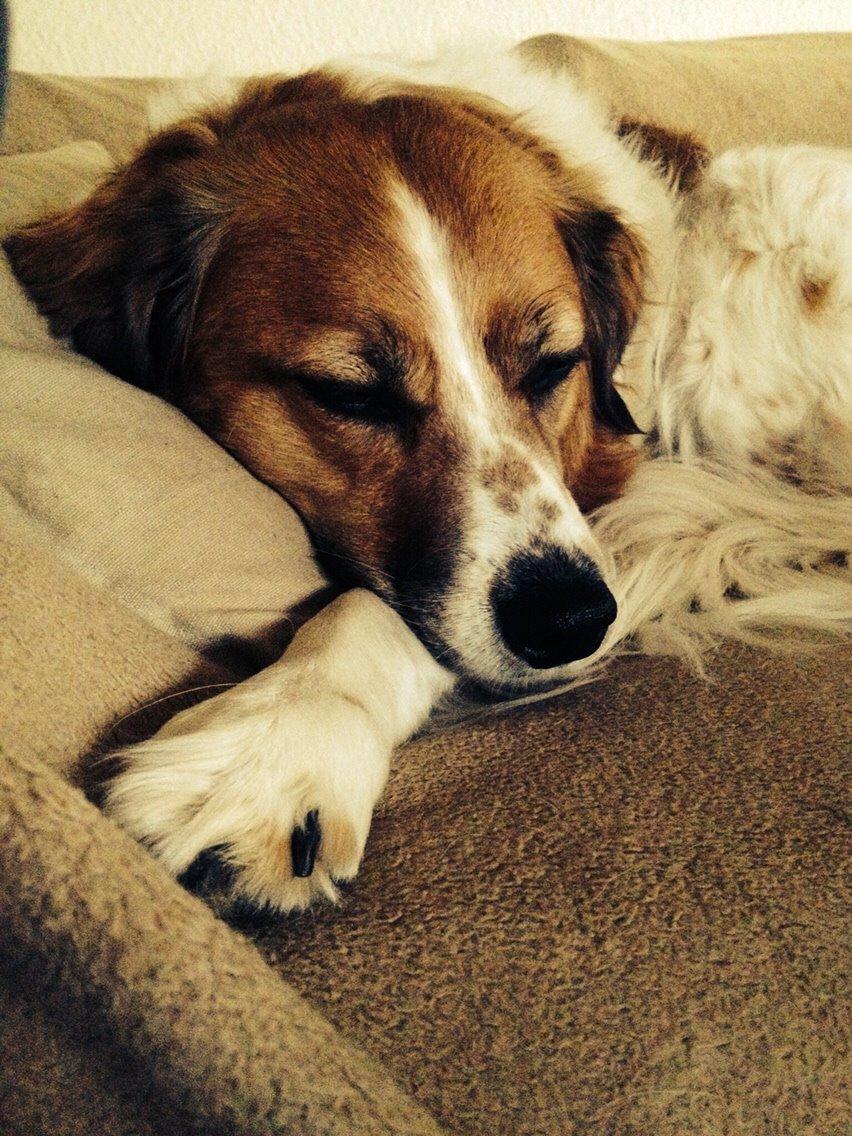 Breton bodil billede 19