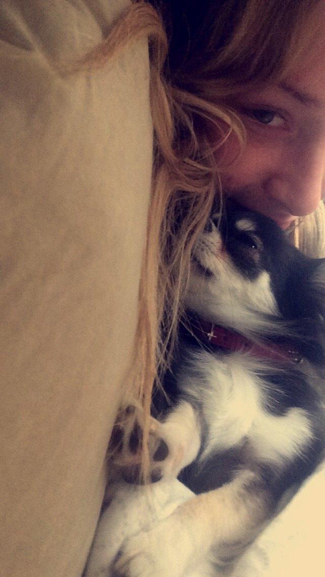 Chihuahua Lucy  - Puttedyr :o) billede 1