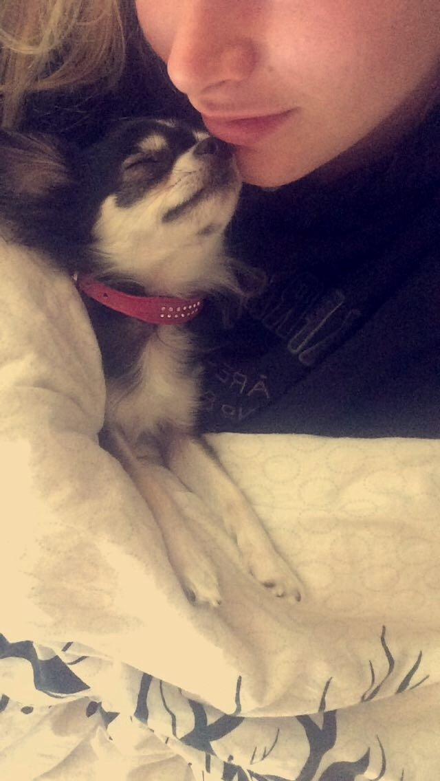 Chihuahua Lucy  - Nogle gange tror jeg nærmere at vi er et ægtepar :o) billede 10