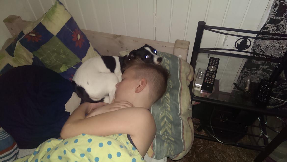 Blanding af racer Cille billede 8