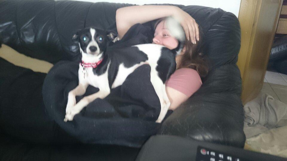 Blanding af racer Cille billede 18