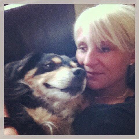 Blanding af racer Vaks billede 26