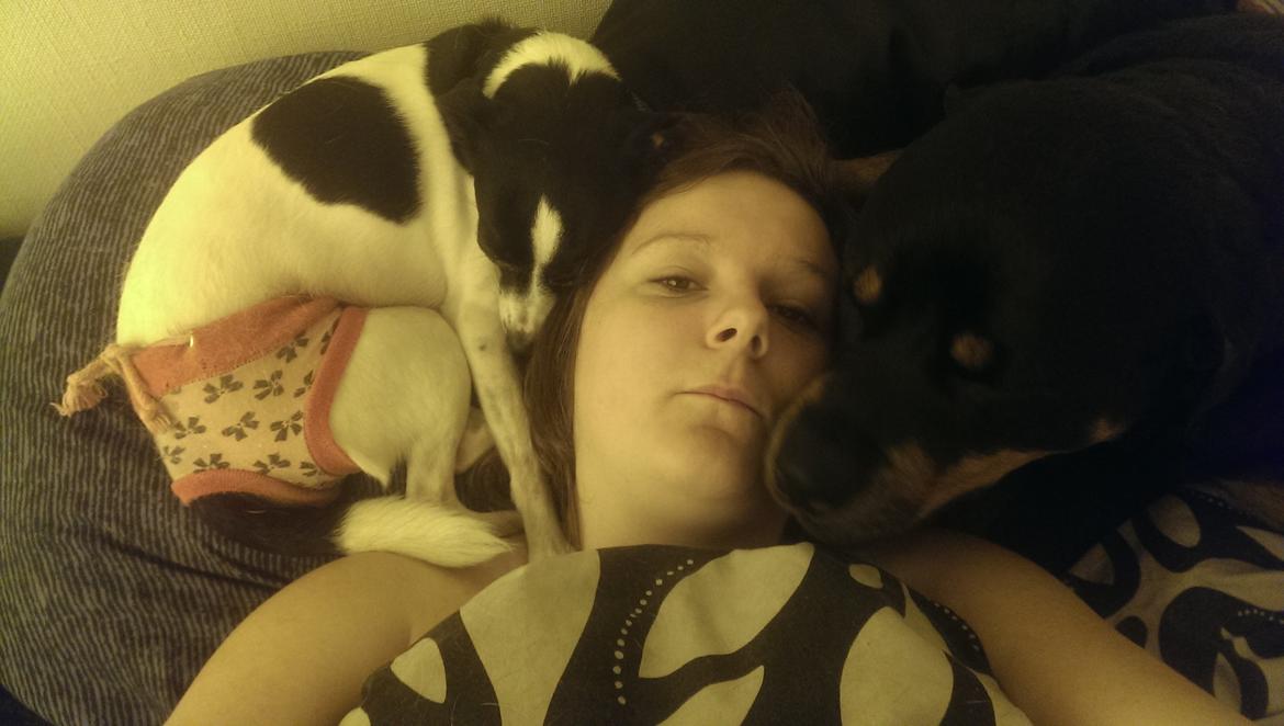 Rottweiler Von Hause Nomis Irina (Kikki) billede 20