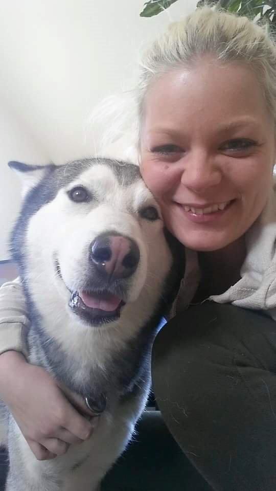 Blanding af racer jack billede 1