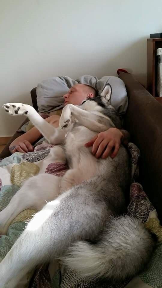 Blanding af racer jack billede 3