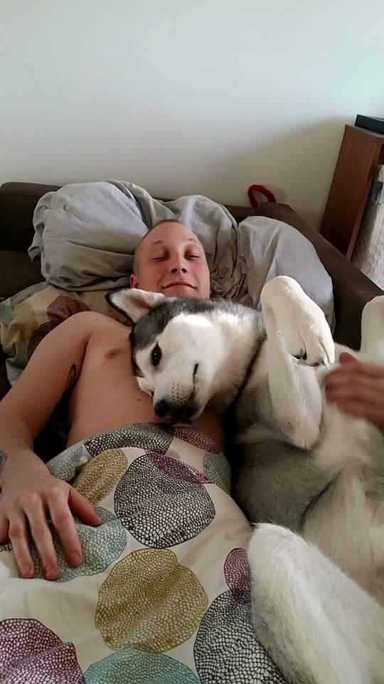 Blanding af racer jack billede 4