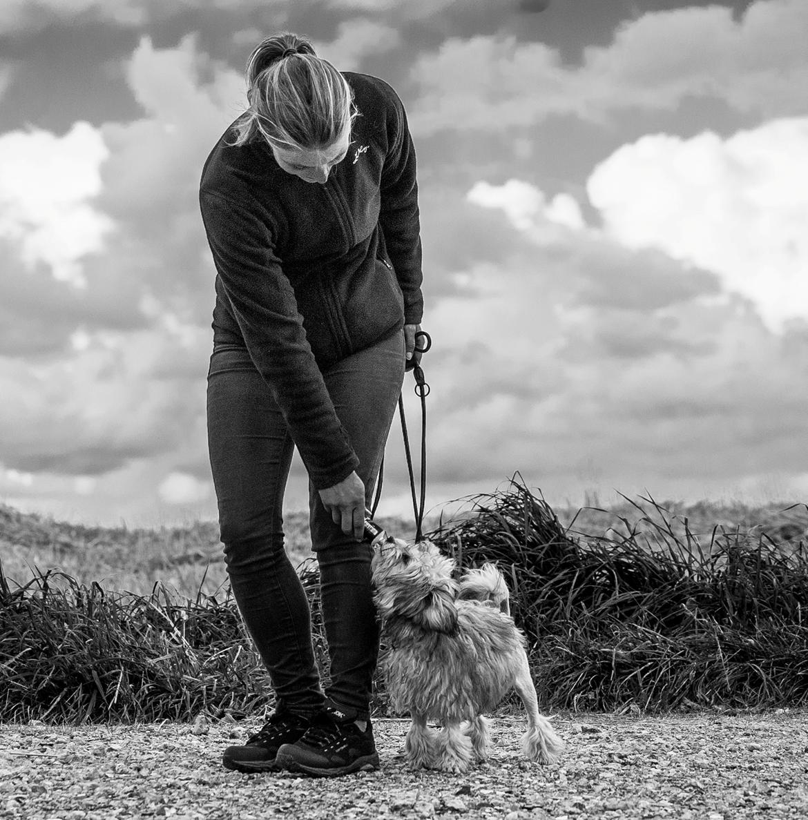Løwchen Felix *Lions of Denmark Gipsy in gold* - Mig og mor! Connie har taget billedet, det er vi rigtig glade for! billede 1