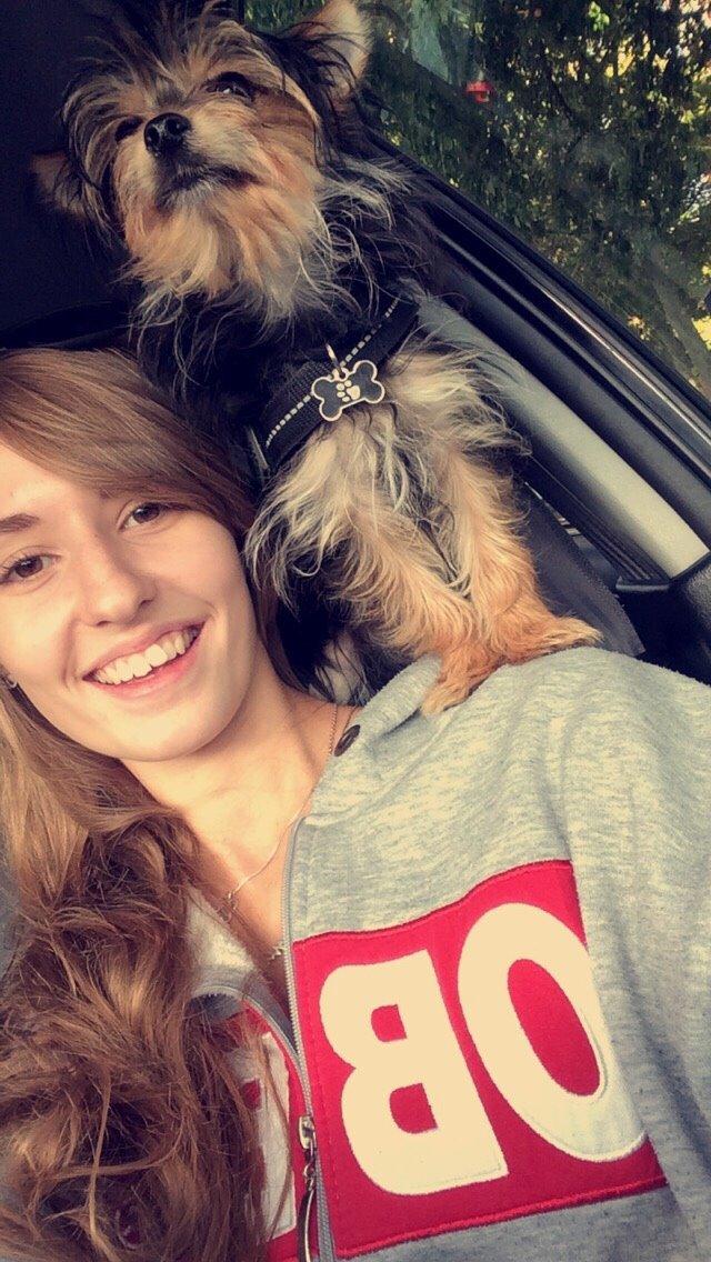 Blanding af racer Buddy billede 14