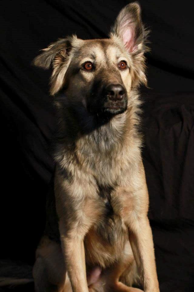 Blanding af racer Prize billede 1